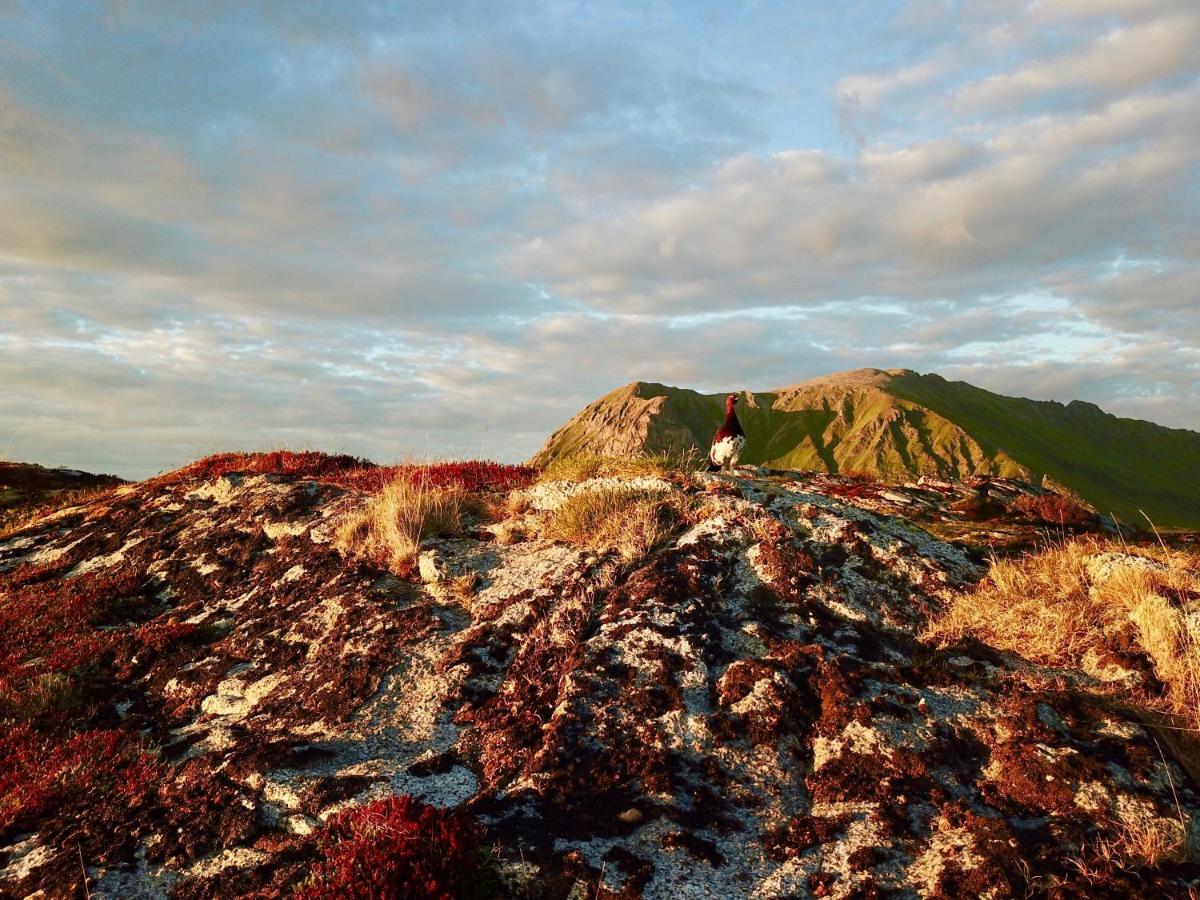Lofoten Troll View Bostad 외부 사진